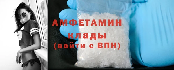 амф Верея
