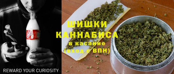 амф Верея